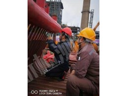 防城港廣西盛隆冶金有限公司產(chǎn)業(yè)升級技術改造項目公輔單元5#煤氣發(fā)電站項目，光譜分析
